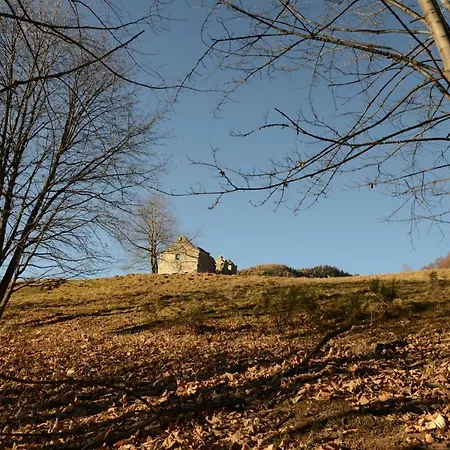 Chalet Ossolano * Craveggia